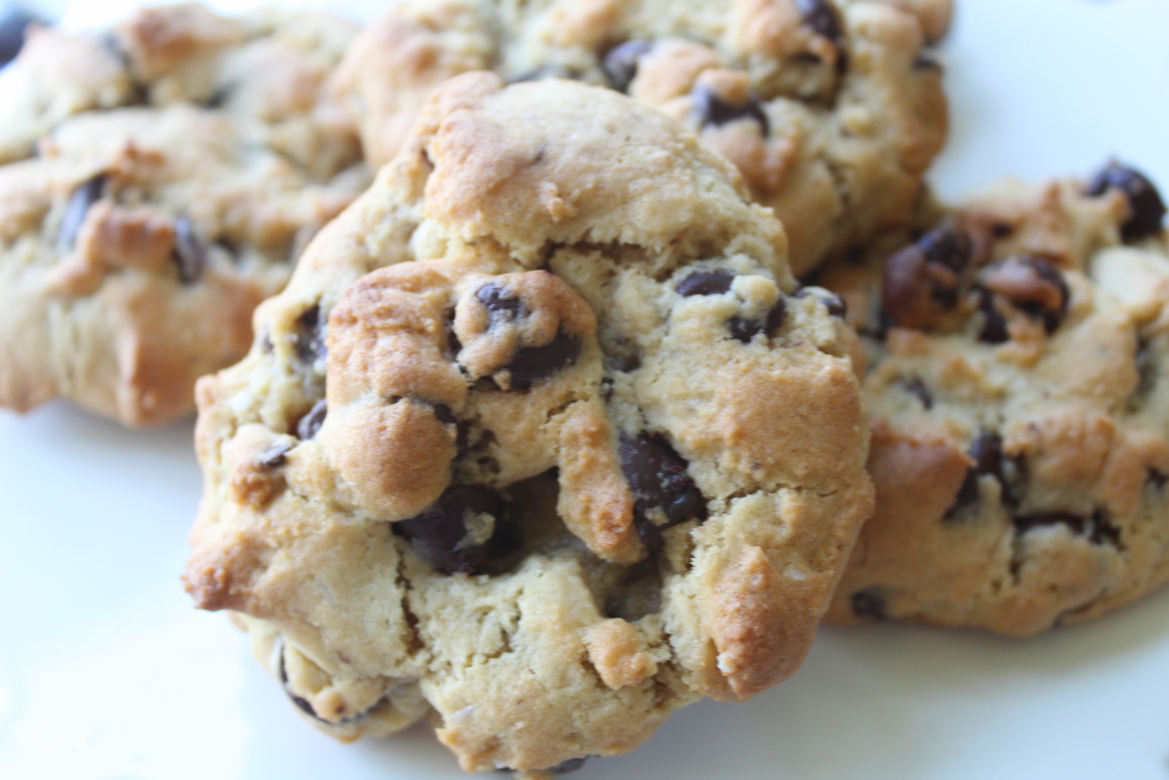 Chocolate Chip Cookie